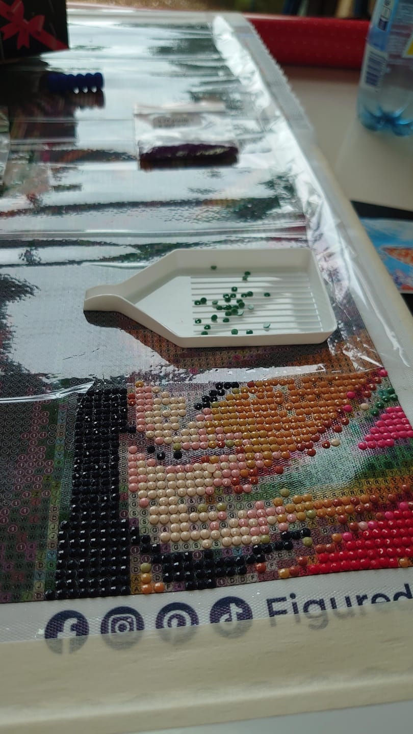 Customer photo review of Broderie Diamant - Couple de Zèbres