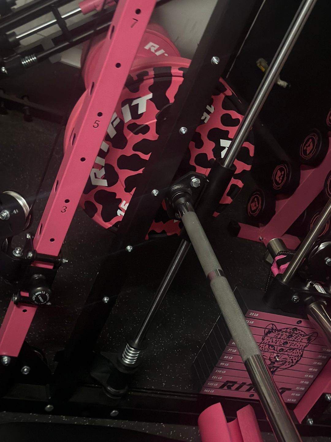 Alexis B. home gym photo