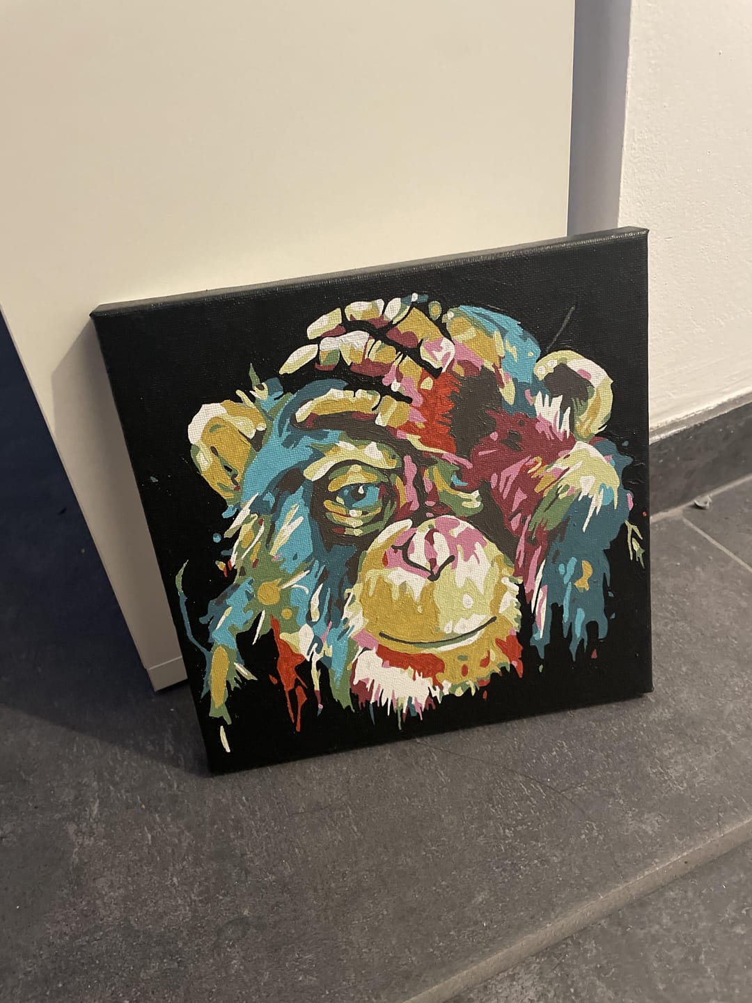 Customer photo review of Mini Peinture par Numéros 20x20cm avec cadre Babouin Pop Art