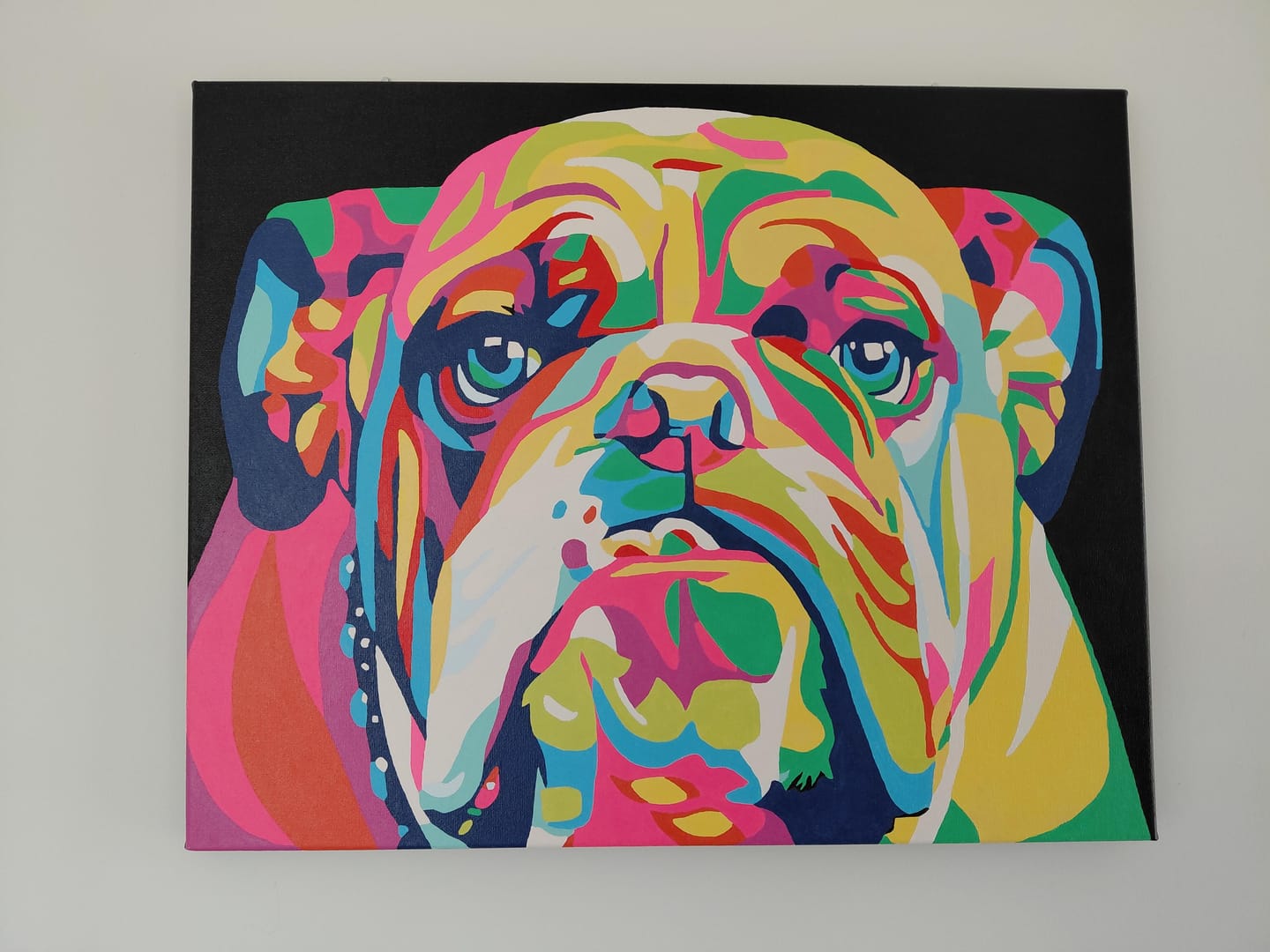 Customer photo review of Bulldog Pop Art