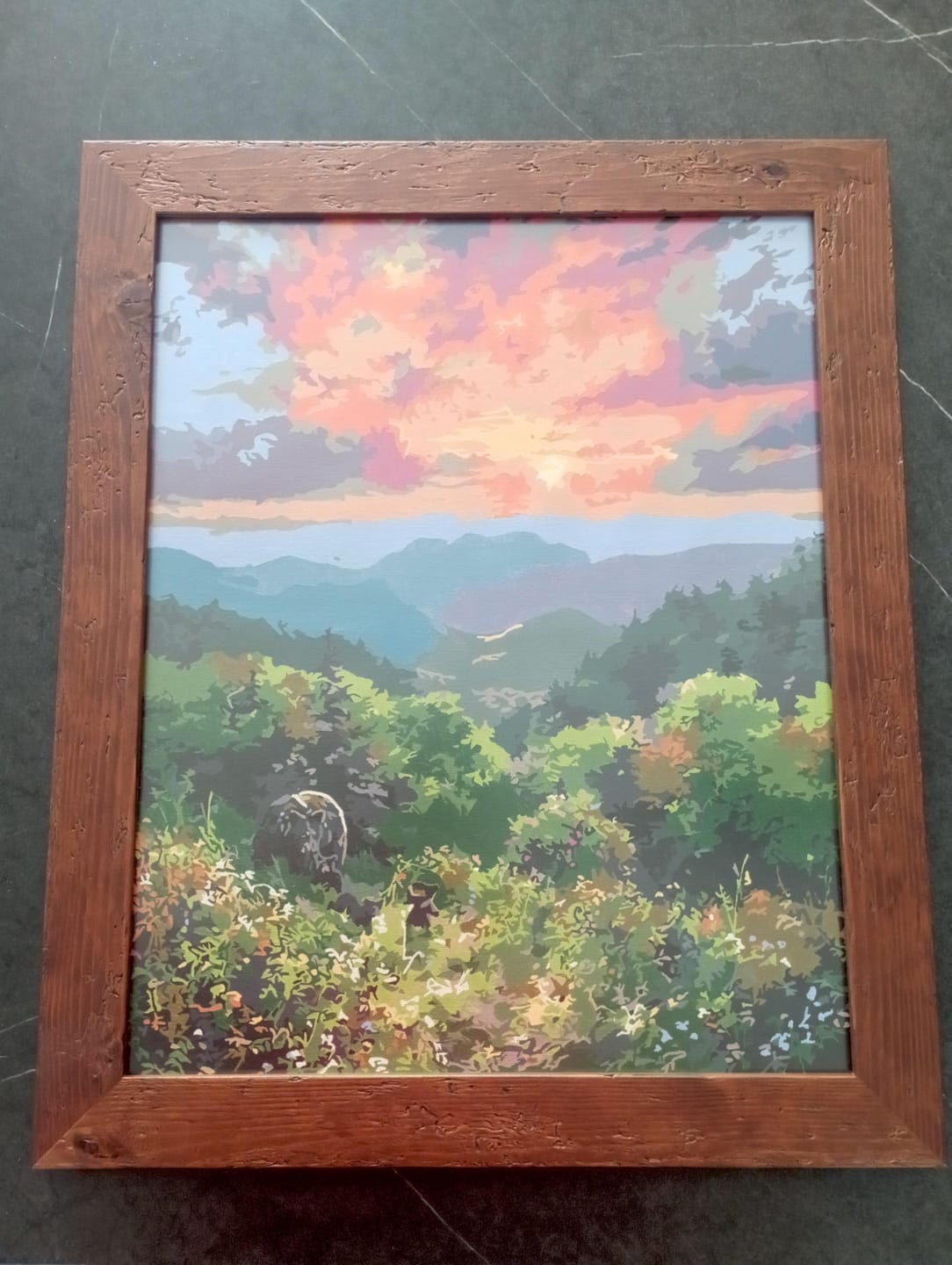 Customer photo review of Ours et coucher de soleil