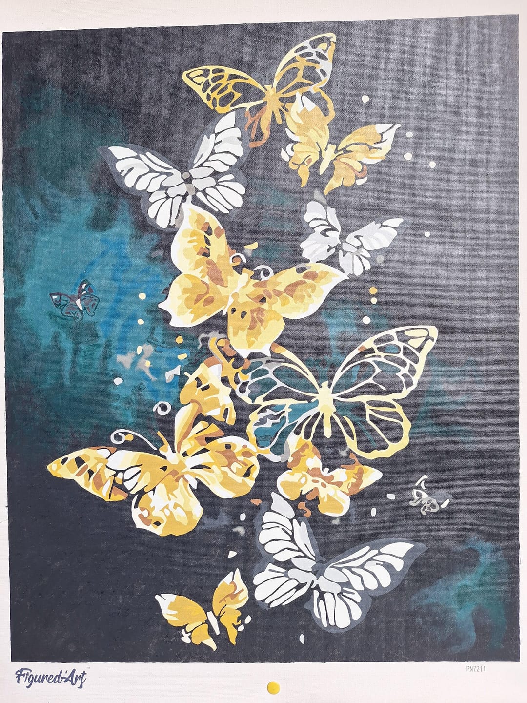 Customer photo review of Papillons féériques