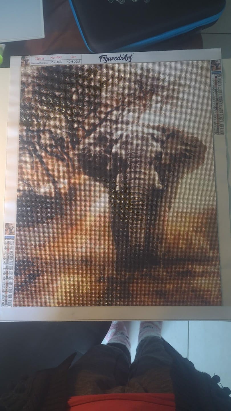 Customer photo review of Broderie Diamant - Eléphant dans la Savane