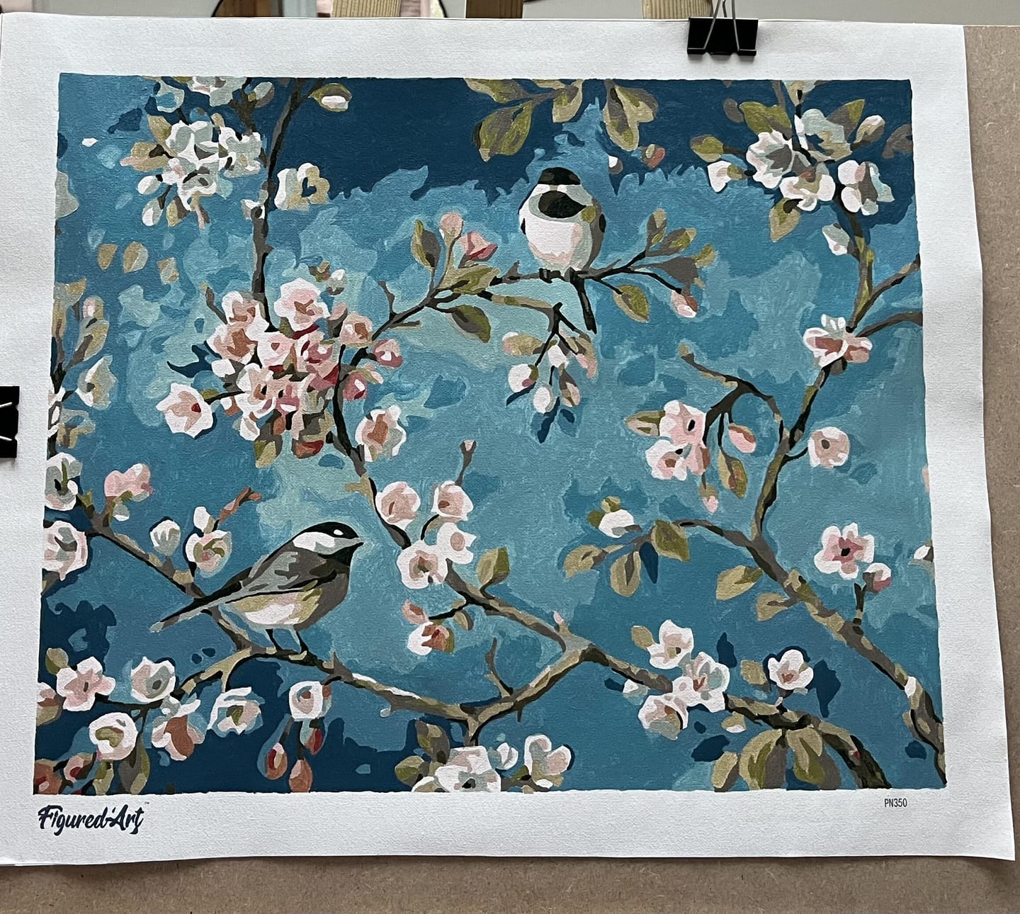 Customer photo review of Fleurs et oiseaux 2