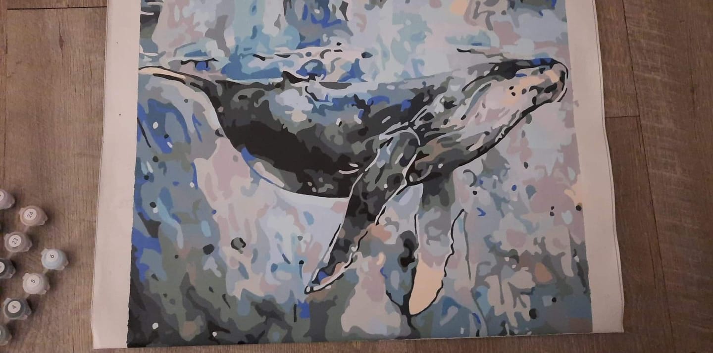 Customer photo review of Baleine