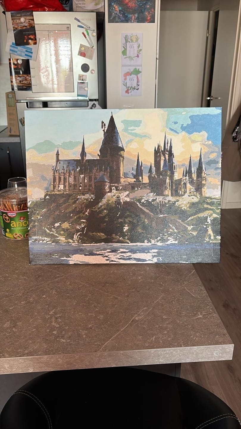 Customer photo review of Harry Potter - Château de Poudlard