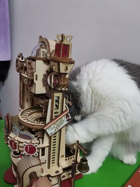 Customer photo review of Puzzle 3D Usine de Chocolat Marbre