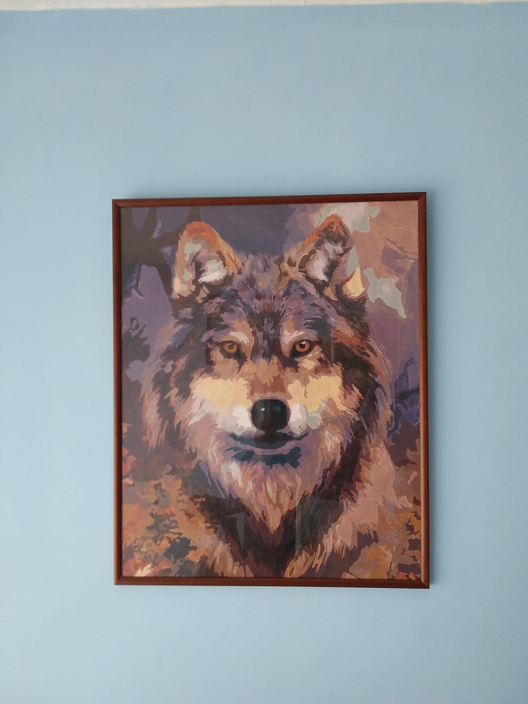 Customer photo review of Tête de loup