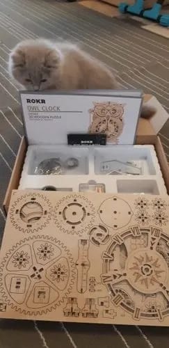Customer photo review of Puzzle 3D Horloge Hibou
