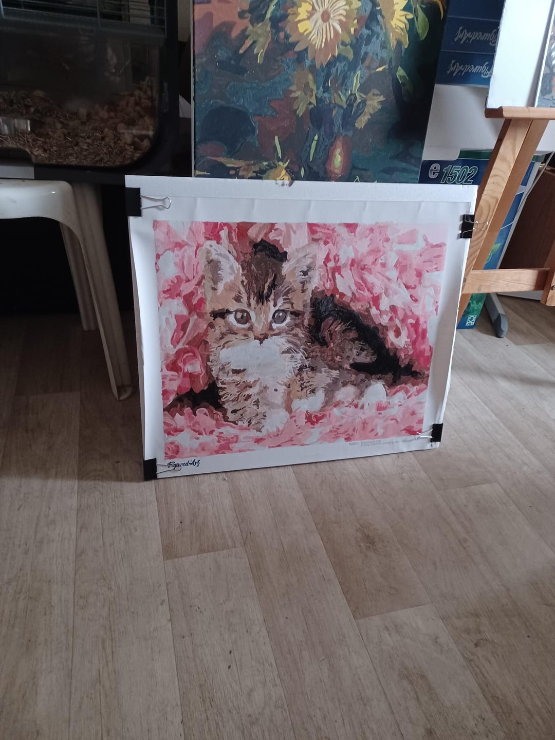 Customer photo review of Chaton enrobé