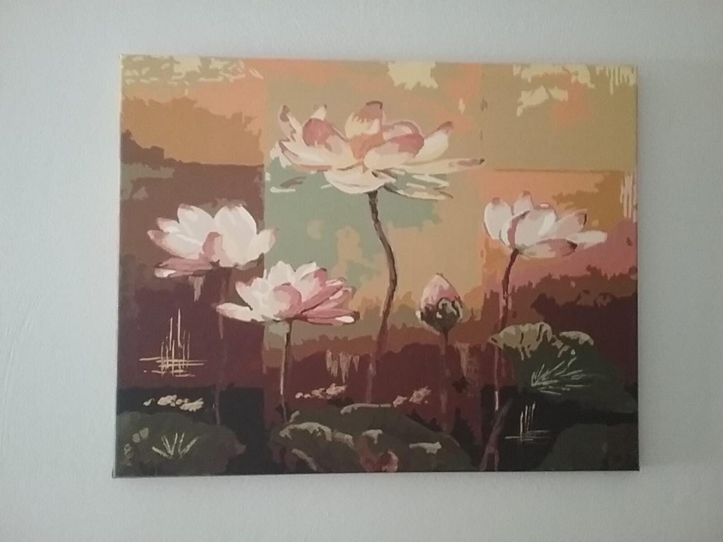 Customer photo review of Nénuphars en Fleurs