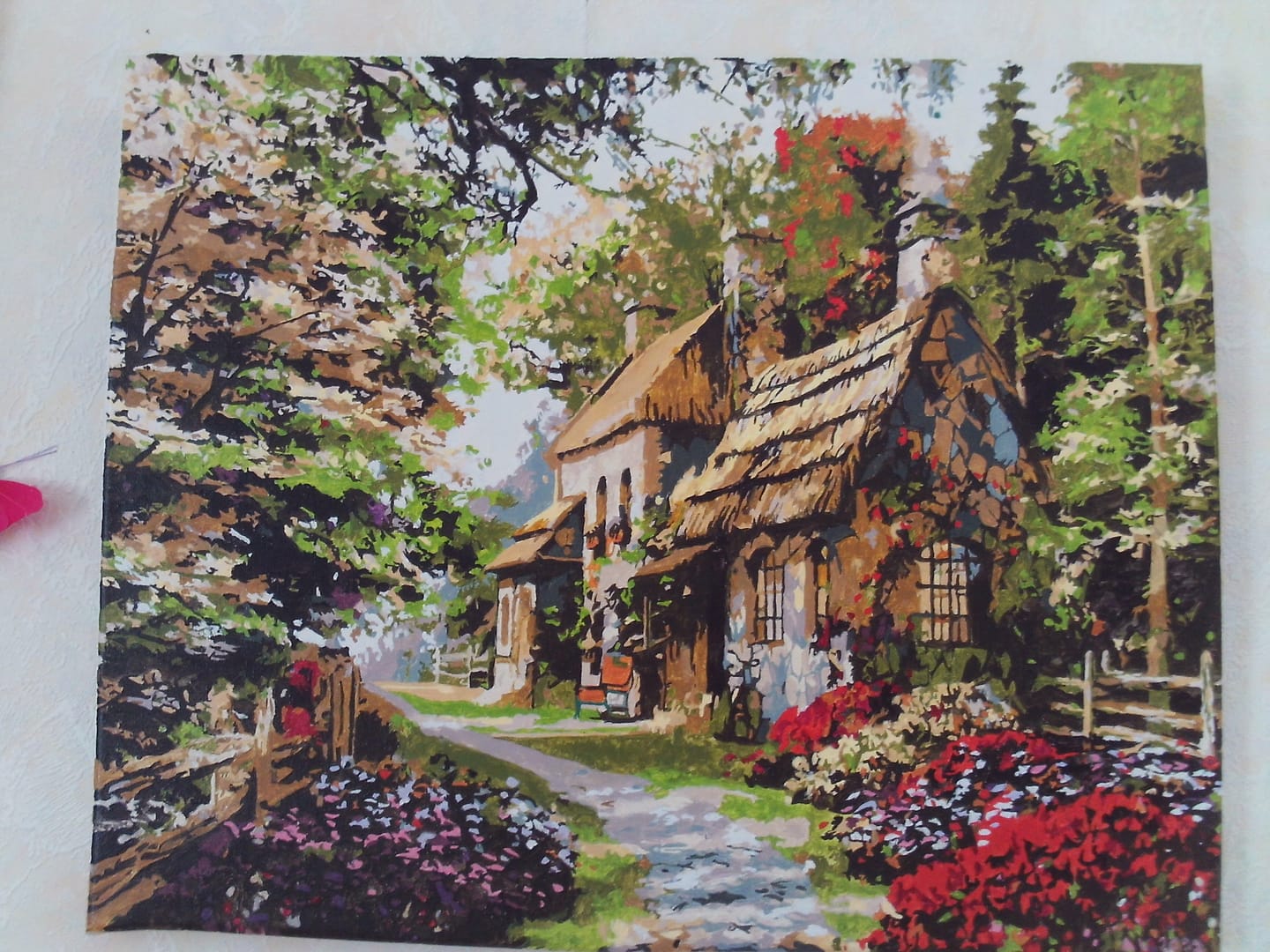 Customer photo review of Paysage de campagne