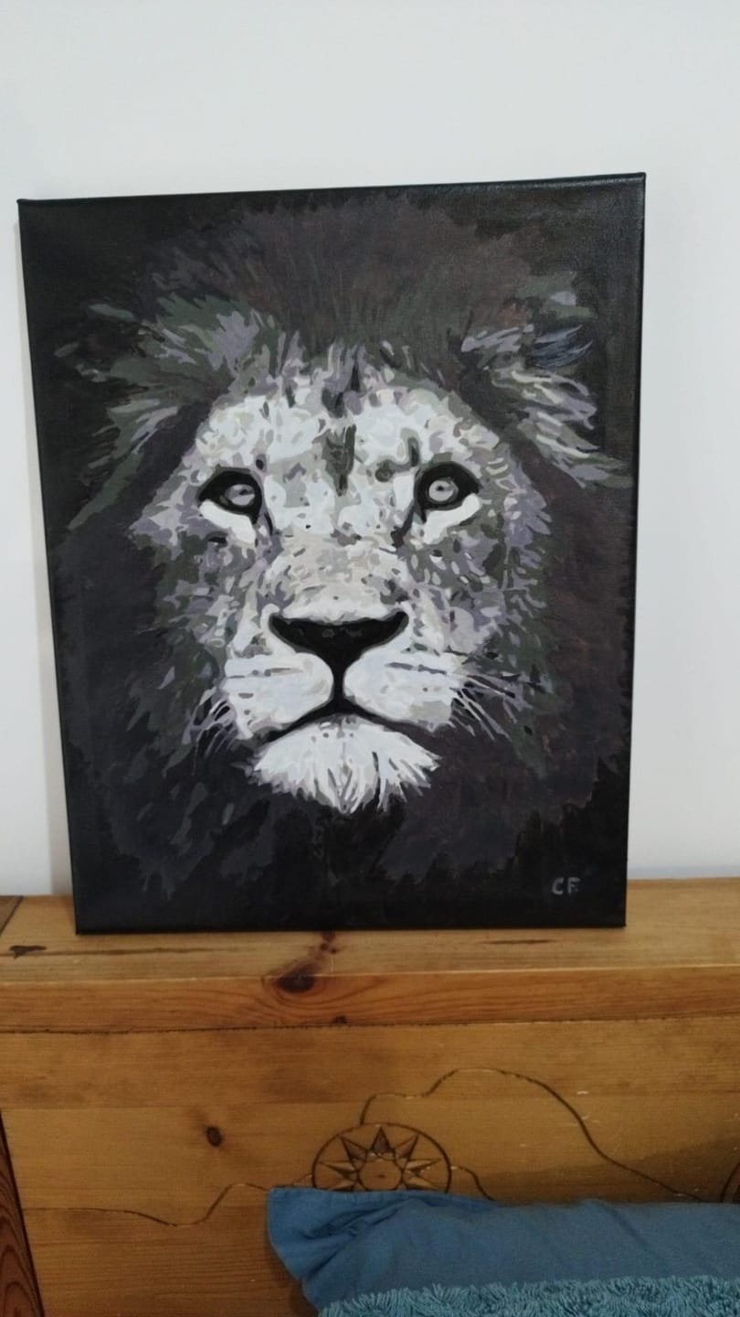 Customer photo review of Tête de lion en noir et blanc