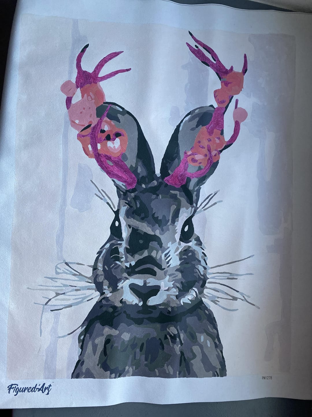 Customer photo review of Joli Lapin