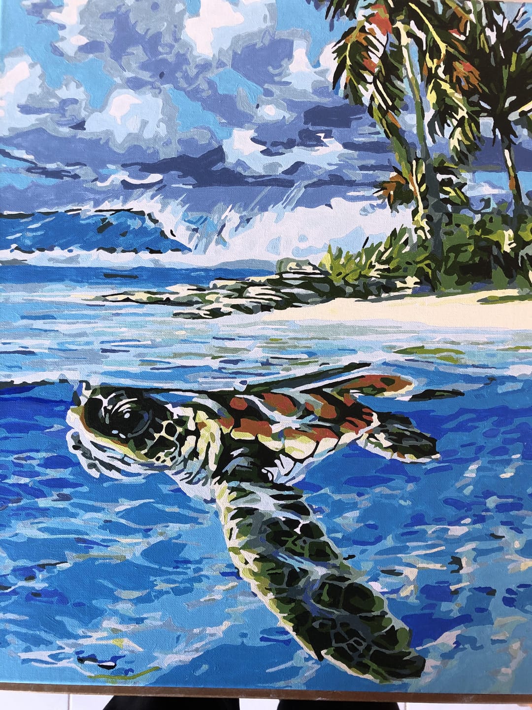 Customer photo review of Tortue détendue