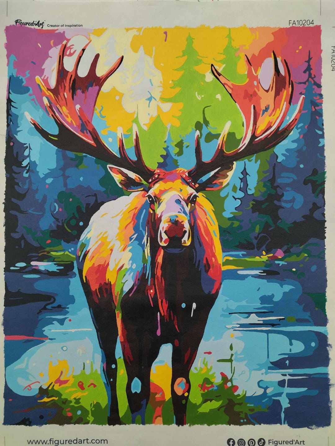 Customer photo review of Orignal Coloré Abstrait
