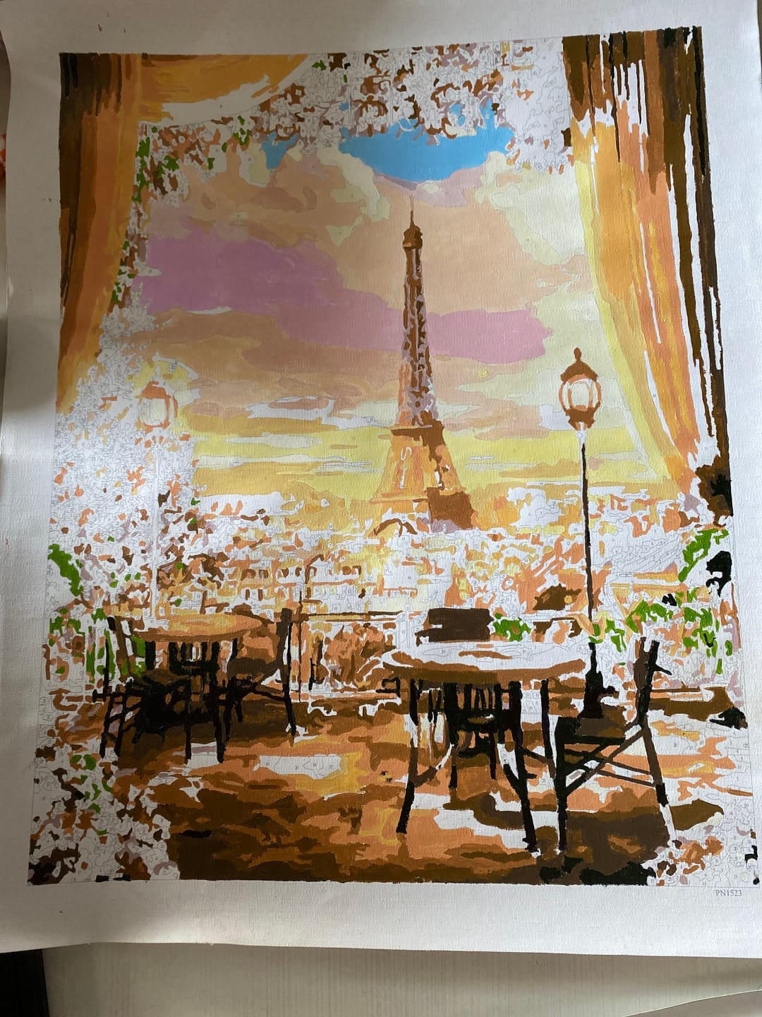Customer photo review of Paysage romantique de Paris