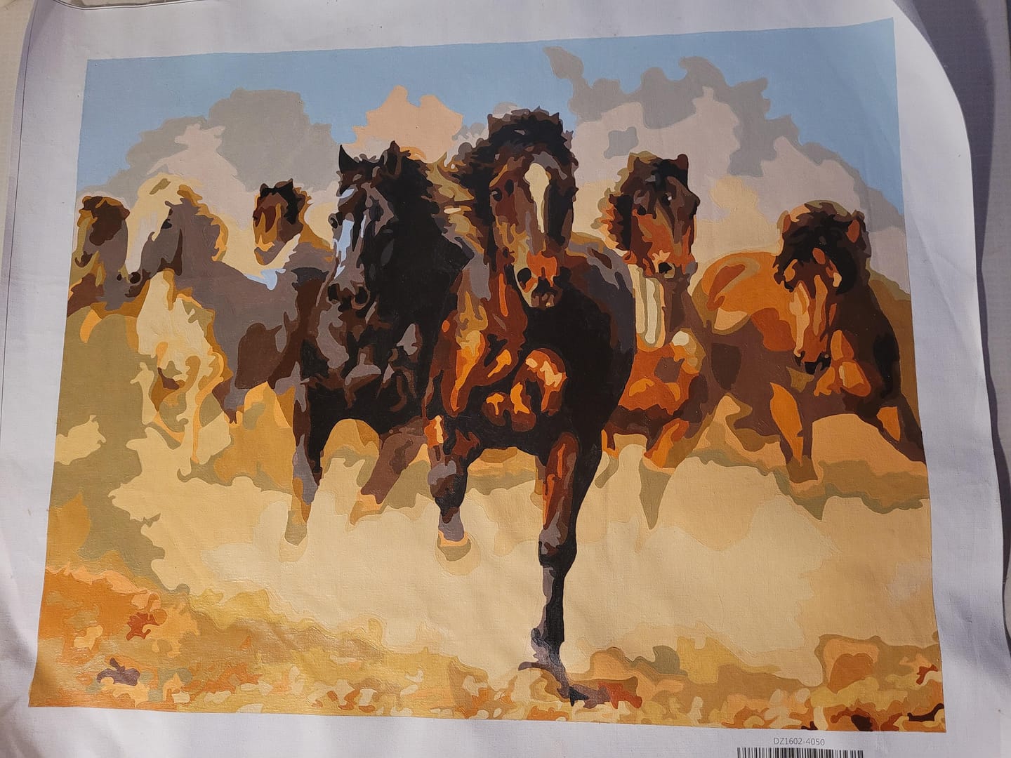 Customer photo review of Horde de Chevaux