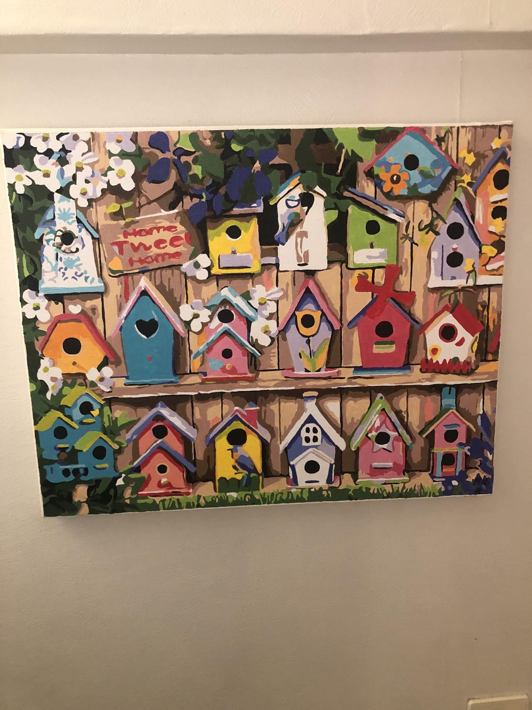 Customer photo review of Cabanes à oiseaux