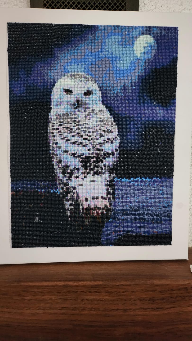 Customer photo review of Broderie Diamant - Chouette Blanche