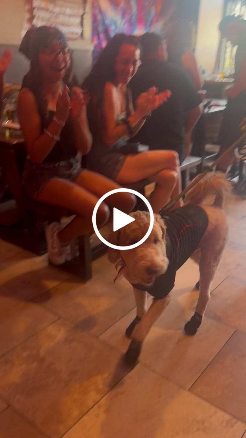 Customer video review of AIR PUP SOCKS / BOOT LINERS - SET OF 4