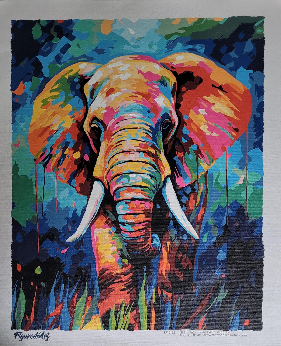 Customer photo review of Éléphant Coloré Abstrait