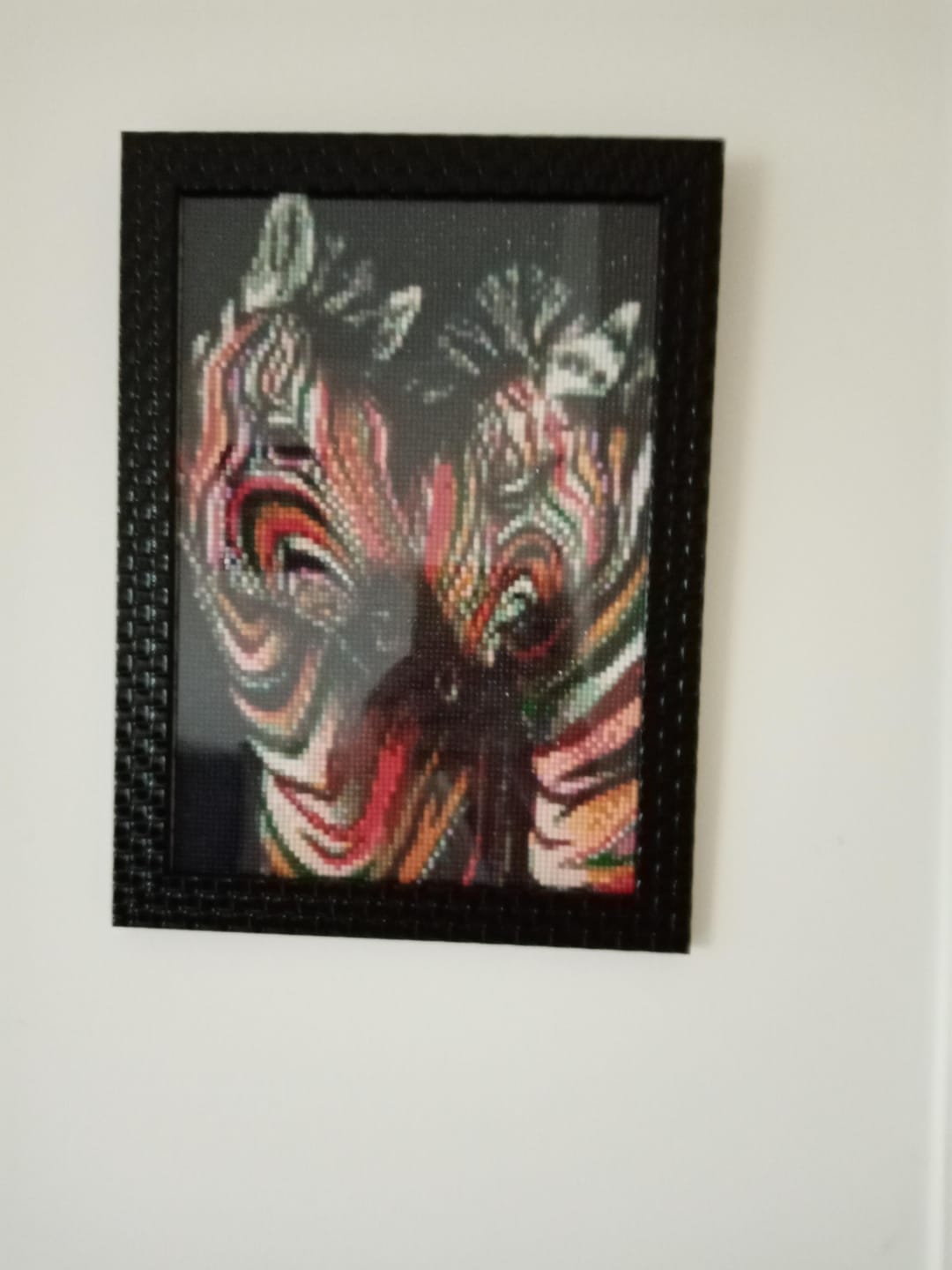 Customer photo review of Broderie Diamant - Couple de Zèbres