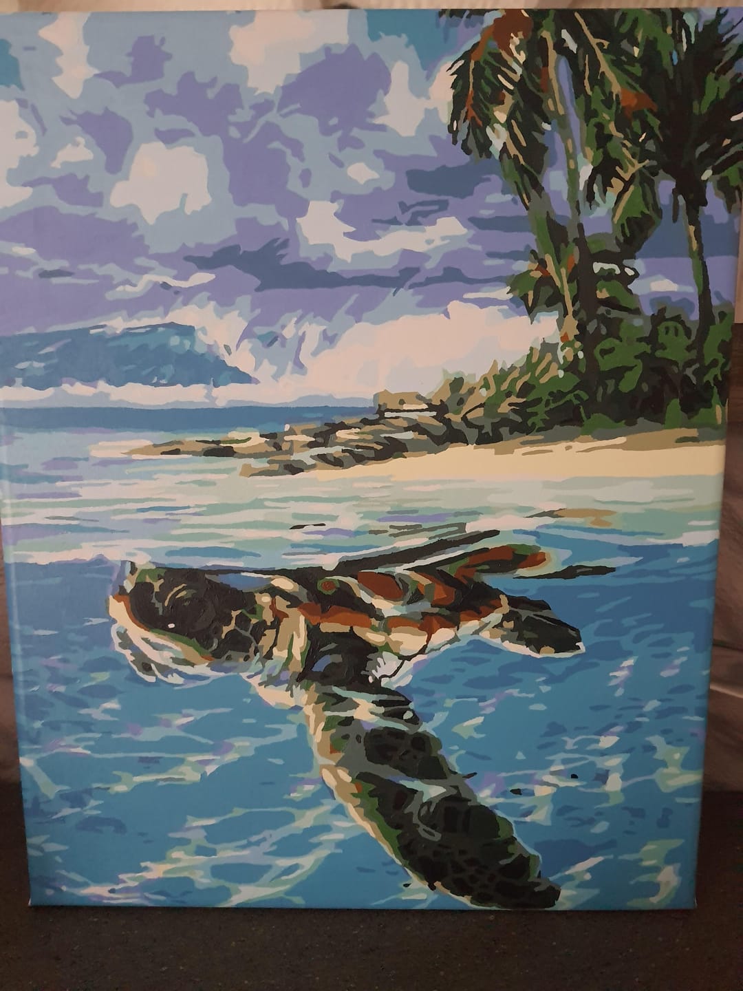 Customer photo review of Tortue détendue