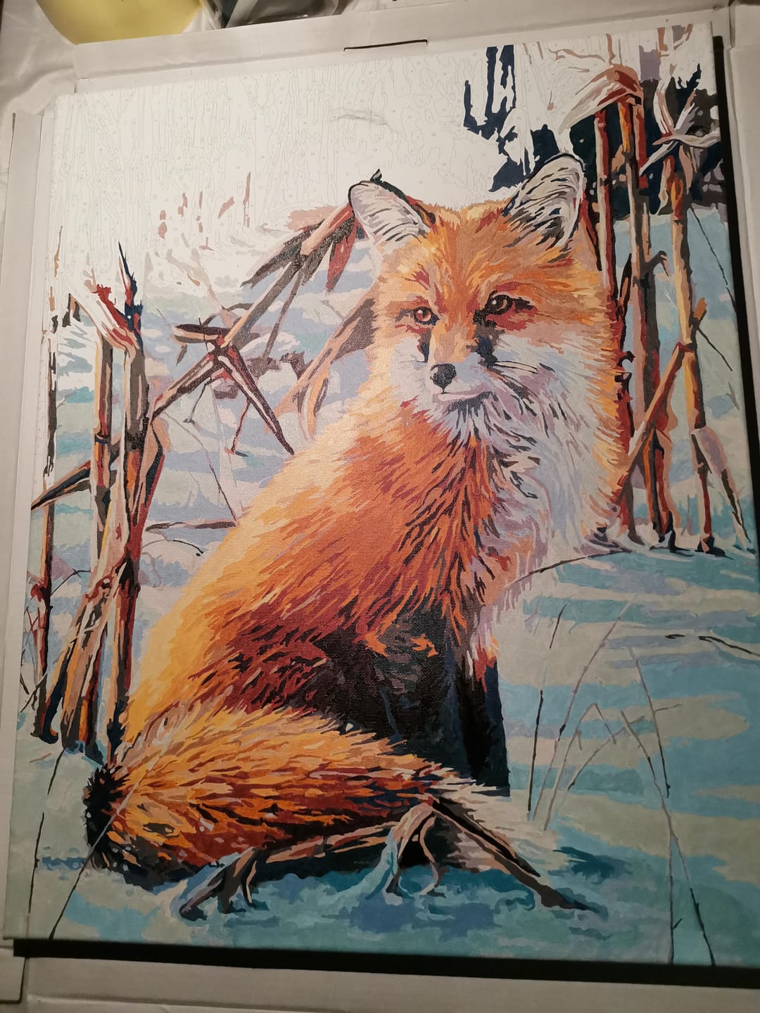 Customer photo review of Renard dans la Neige