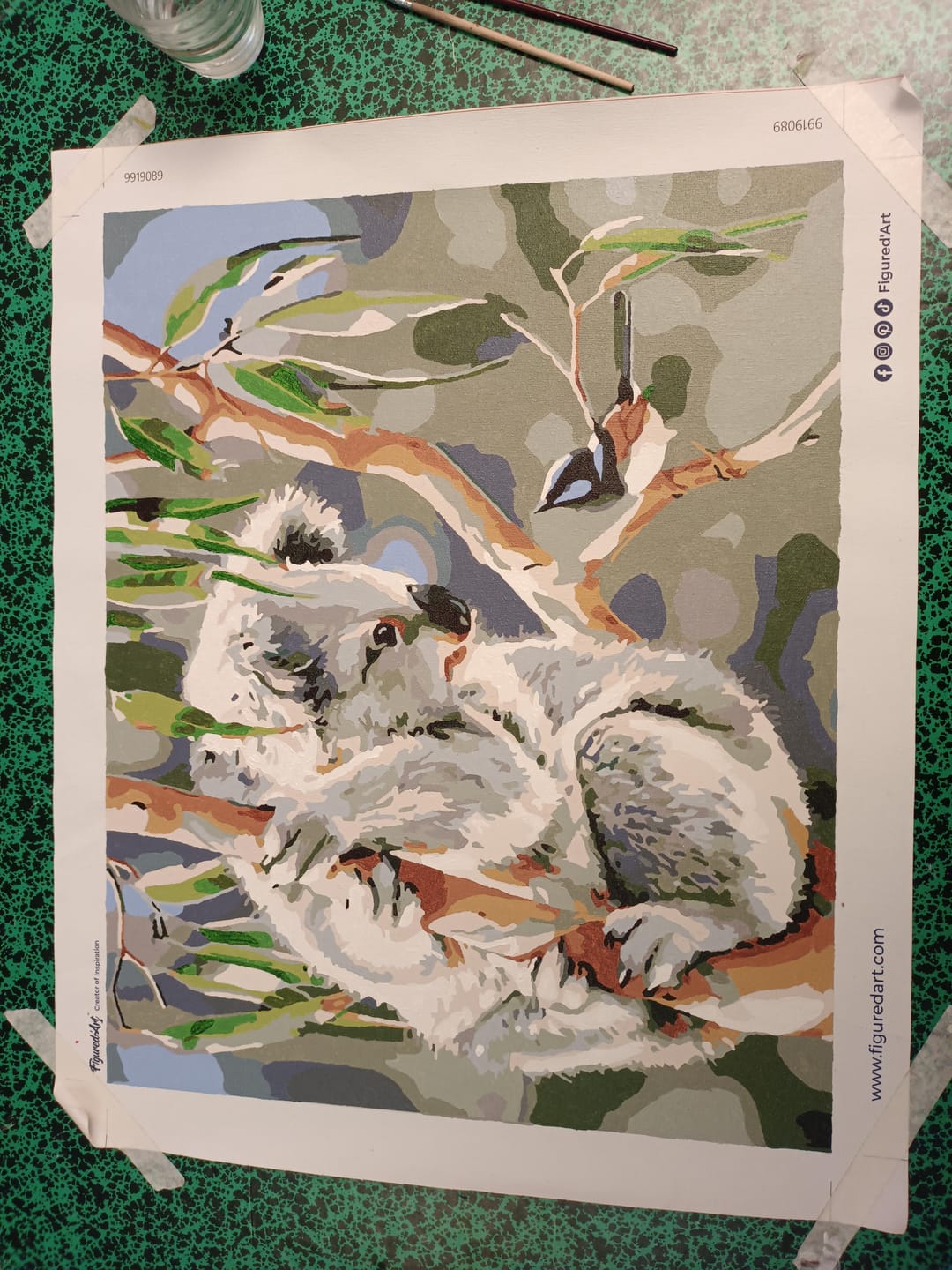 Customer photo review of Koala et Oiseau
