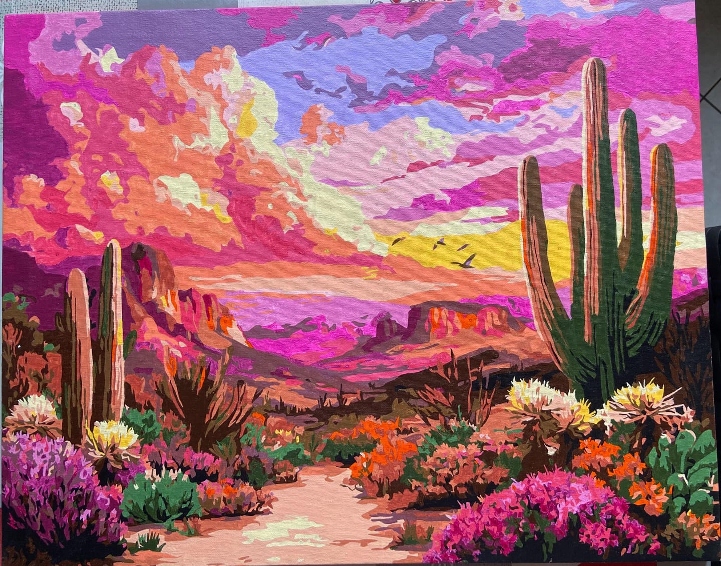 Customer photo review of Vallée des Cactus au Coucher du Soleil