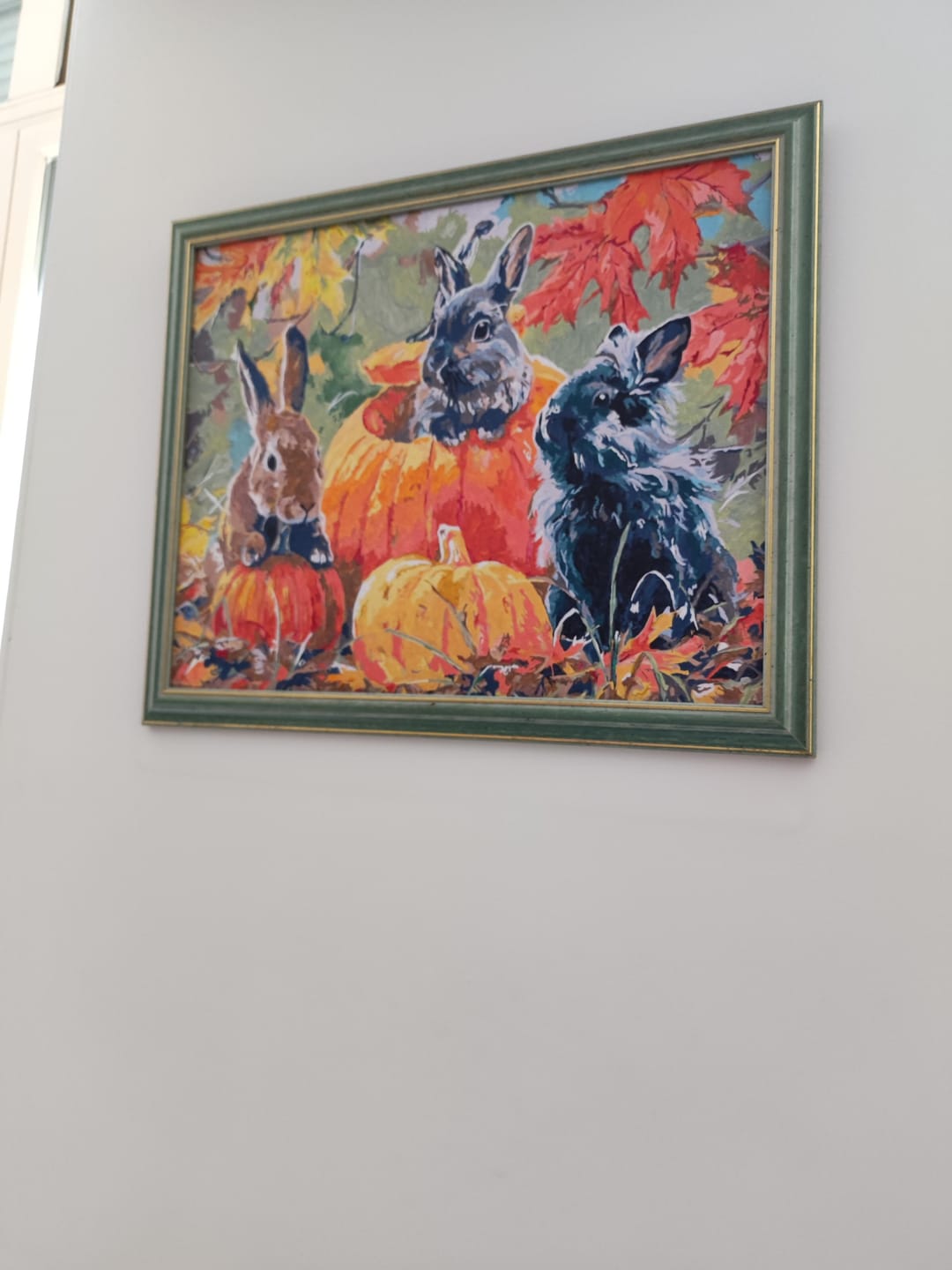 Customer photo review of Lapin et marguerites
