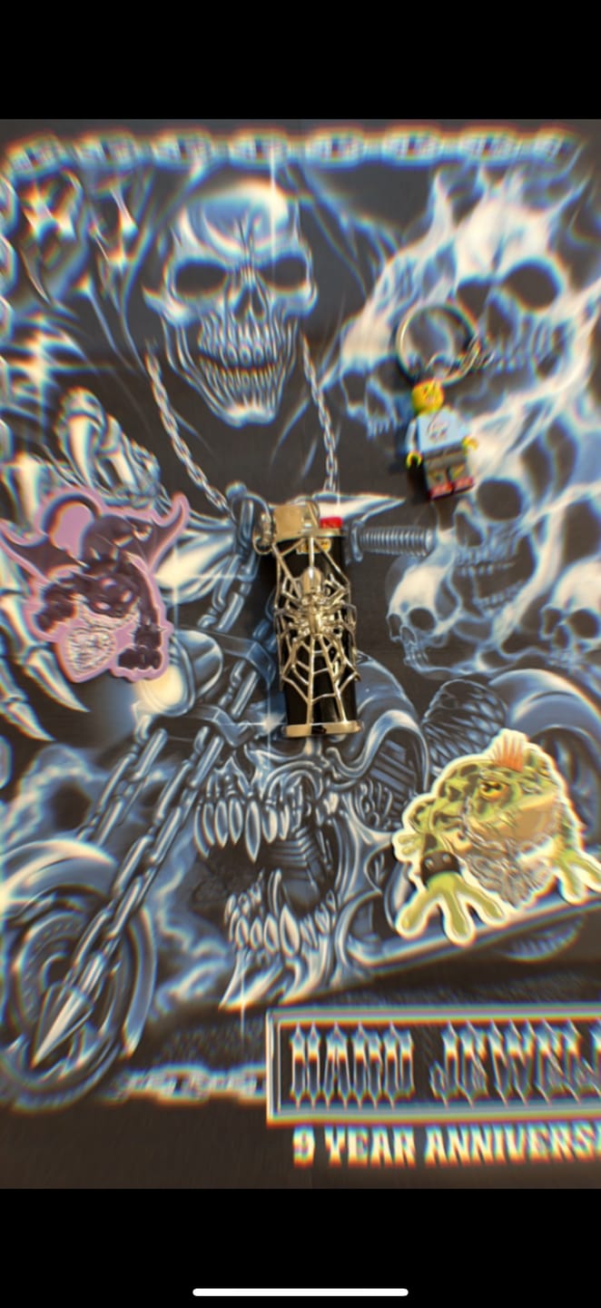 Customer photo review of SPIDER LIGHTER CASE