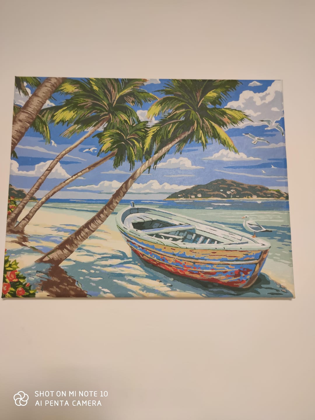Customer photo review of Barque sous les Cocotiers