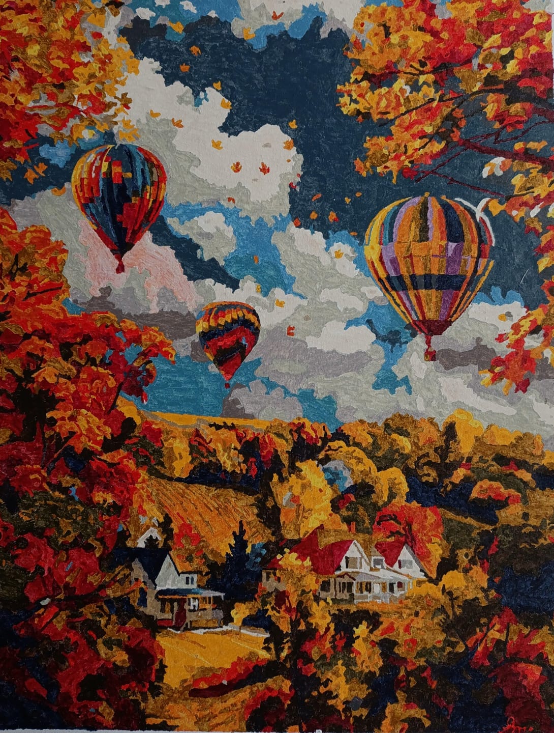 Customer photo review of Aventure en Montgolfière en Automne