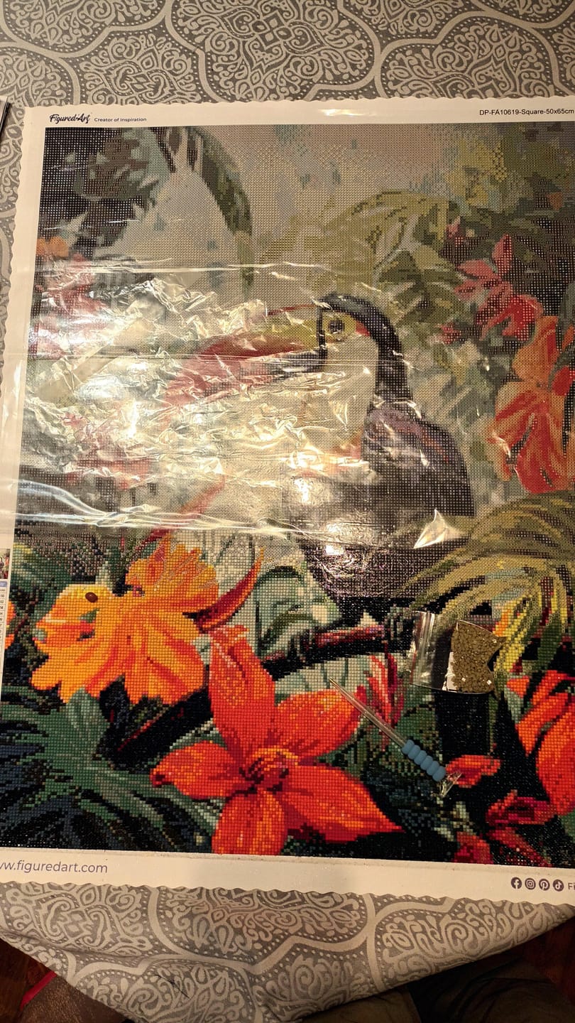 Customer photo review of Broderie Diamant - Toucan dans la jungle