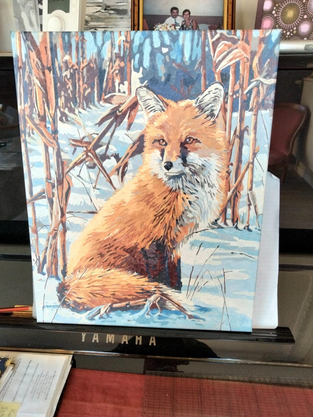 Customer photo review of Renard dans la Neige