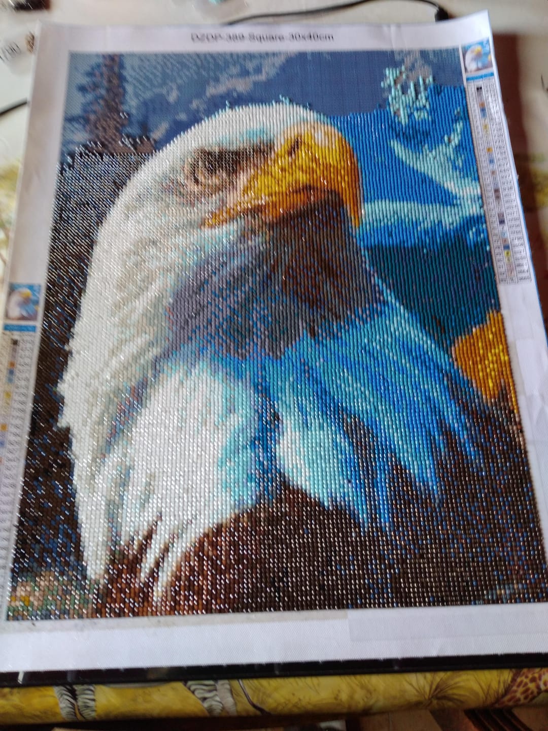Customer photo review of Broderie Diamant - Aigle et Montagne