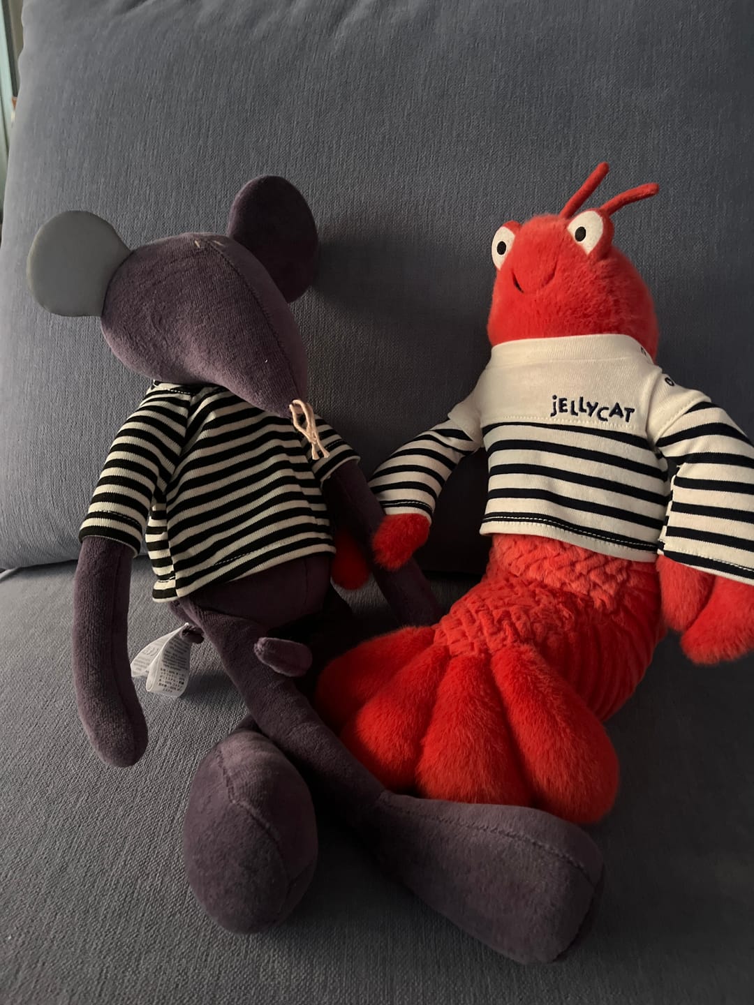 Customer photo review of HECTOR LE RAT - L