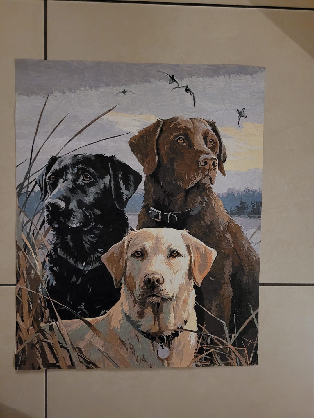 Customer photo review of Trio de Labrador