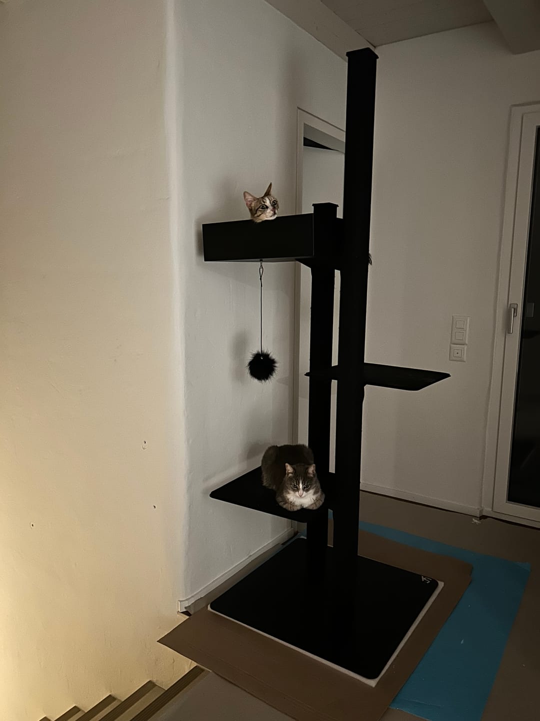 Customer photo review of STYA Katzen Kratzbaum MS610 | Schwarz