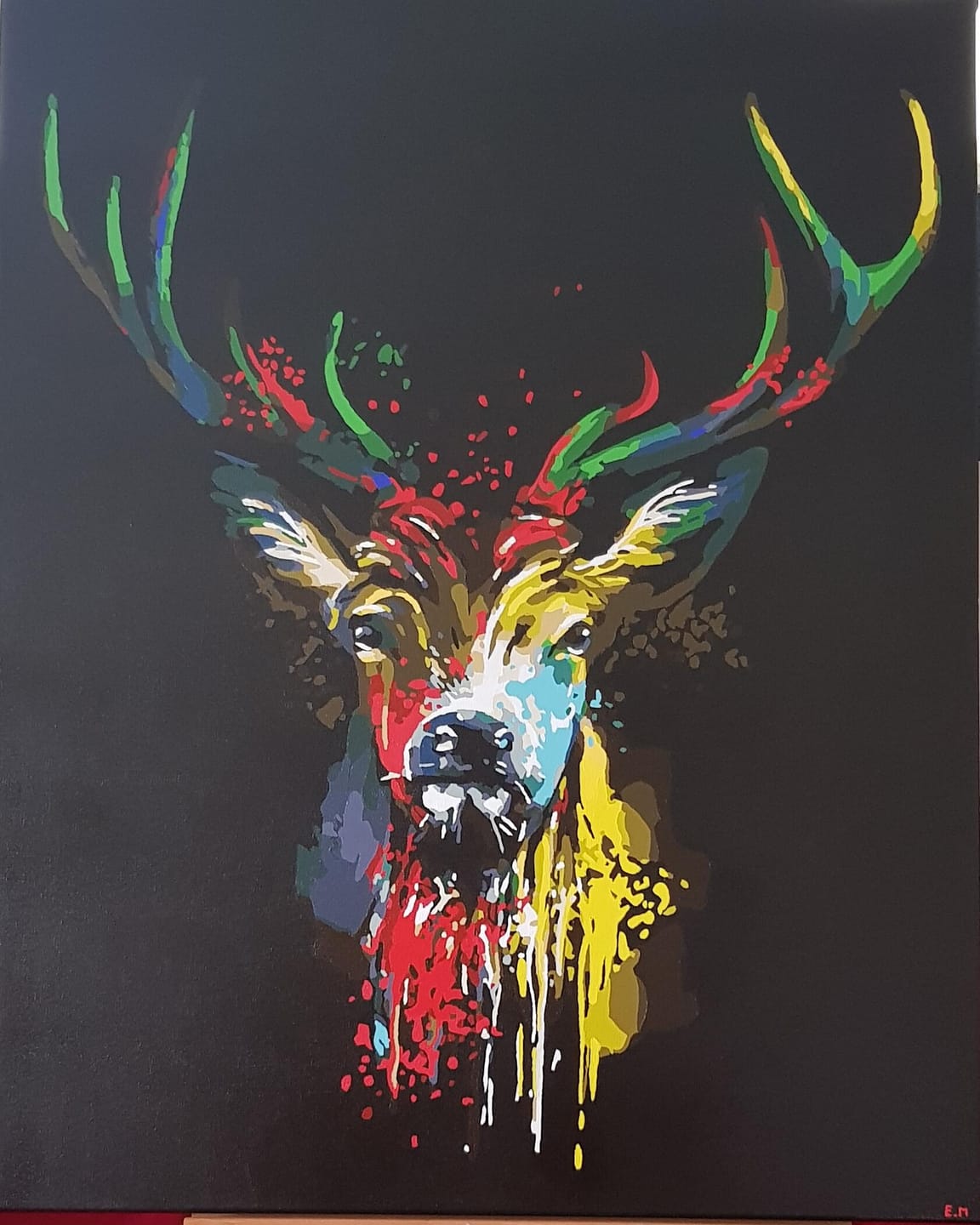 Customer photo review of Cerf en Couleur