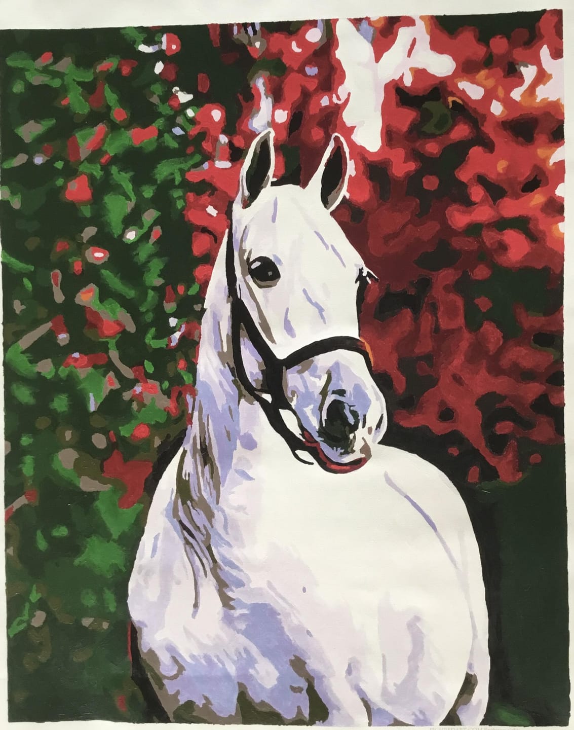 Customer photo review of Cheval et fond coloré