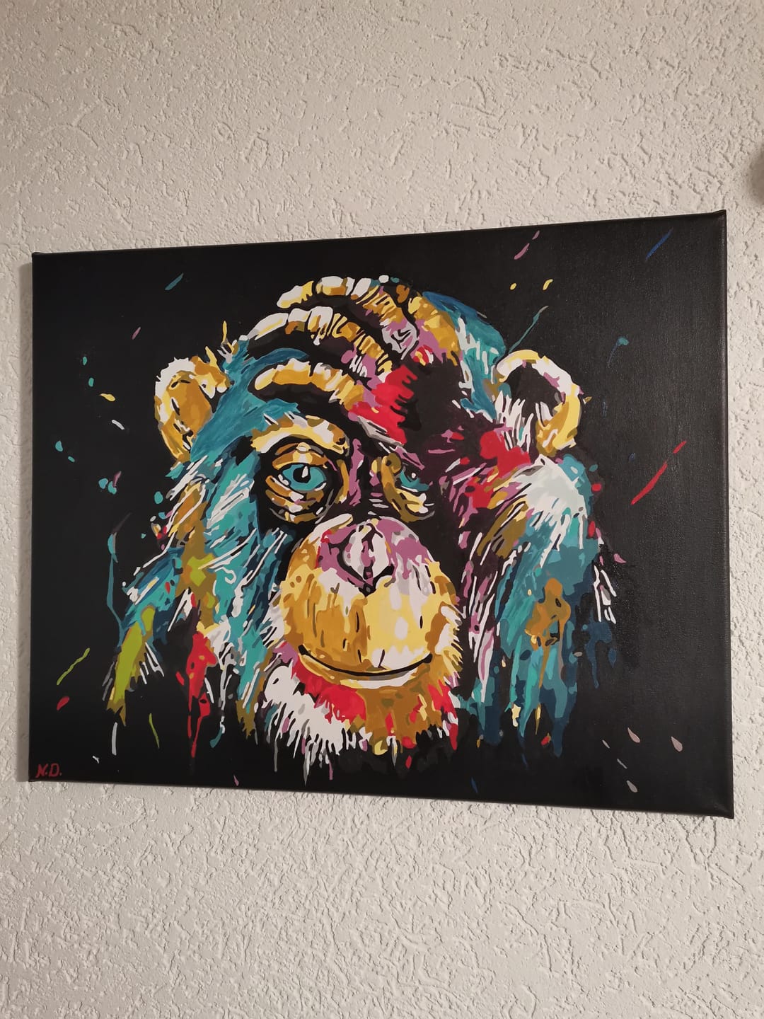 Customer photo review of Babouin Pop Art