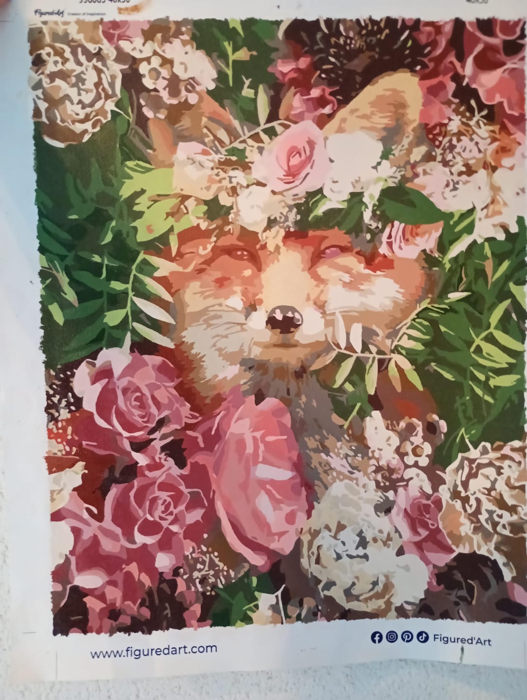 Customer photo review of Petit Renard dans les Fleurs