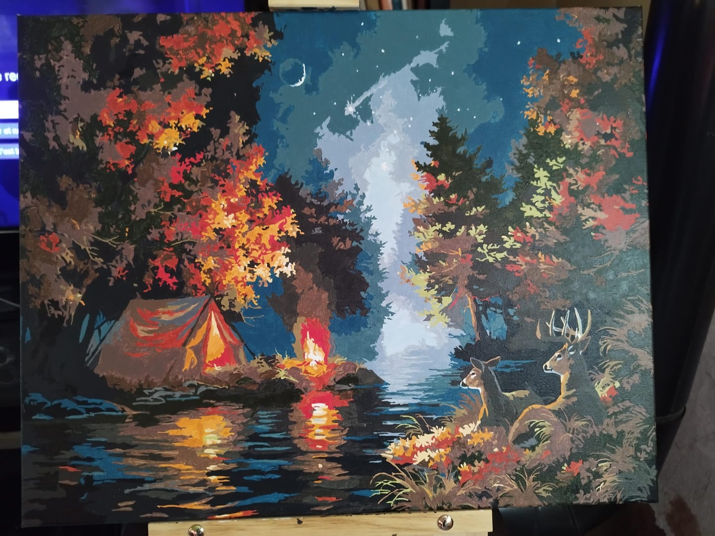 Customer photo review of Camping sous une nuit étoilée