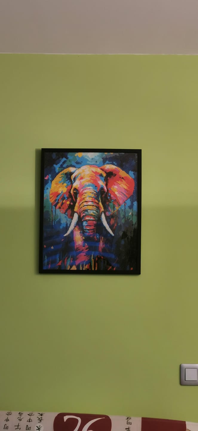 Customer photo review of Broderie Diamant - Éléphant Coloré Abstrait