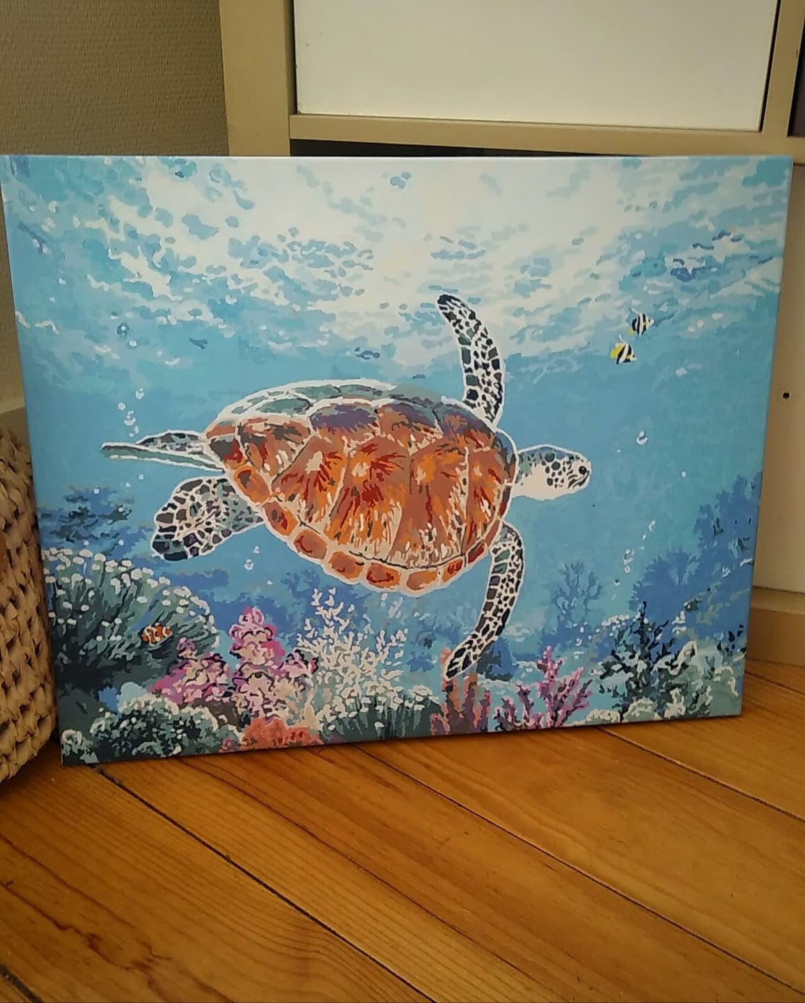 Customer photo review of Tortue en ballade