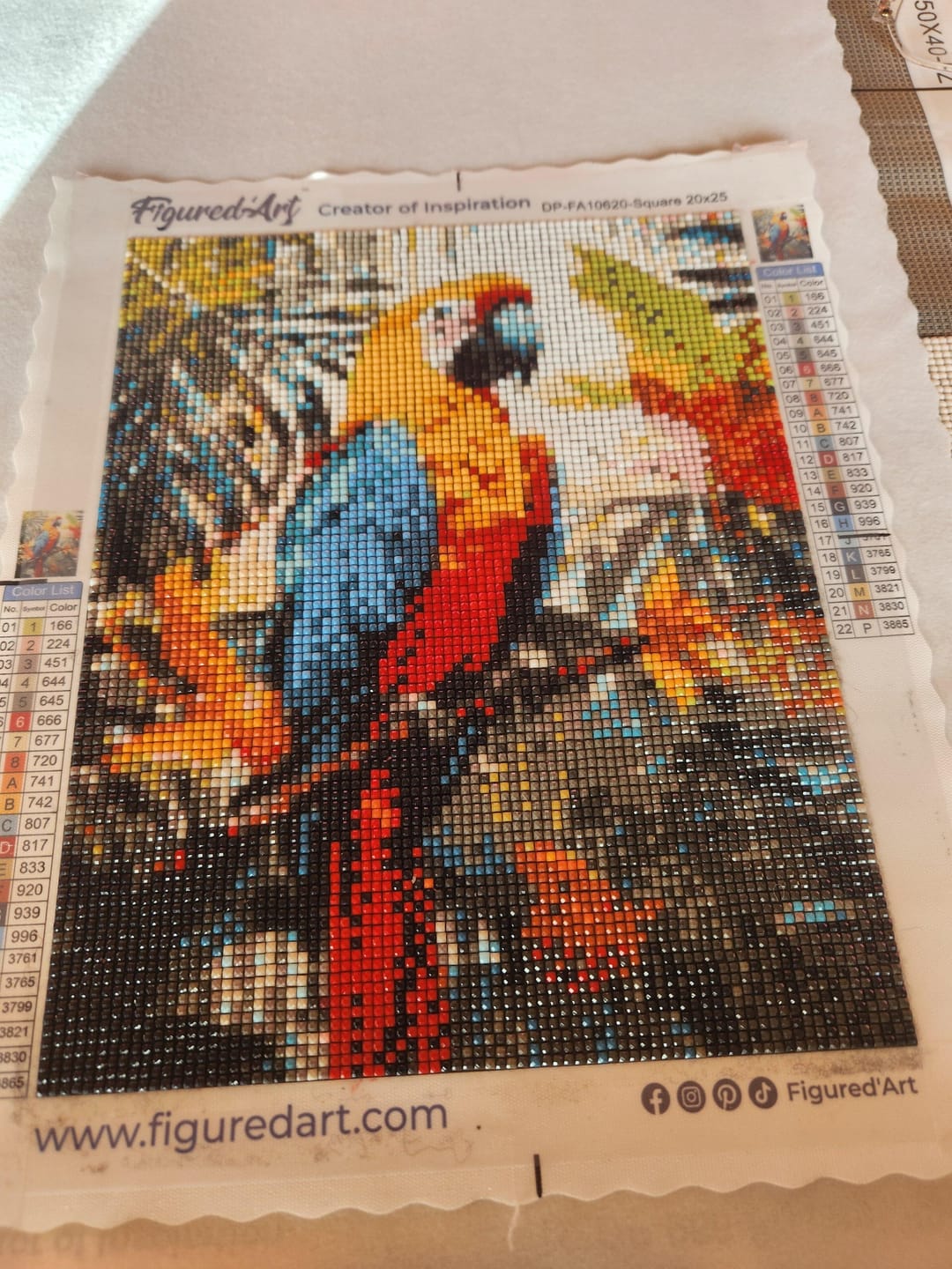 Customer photo review of Broderie Diamant - Ara tropical