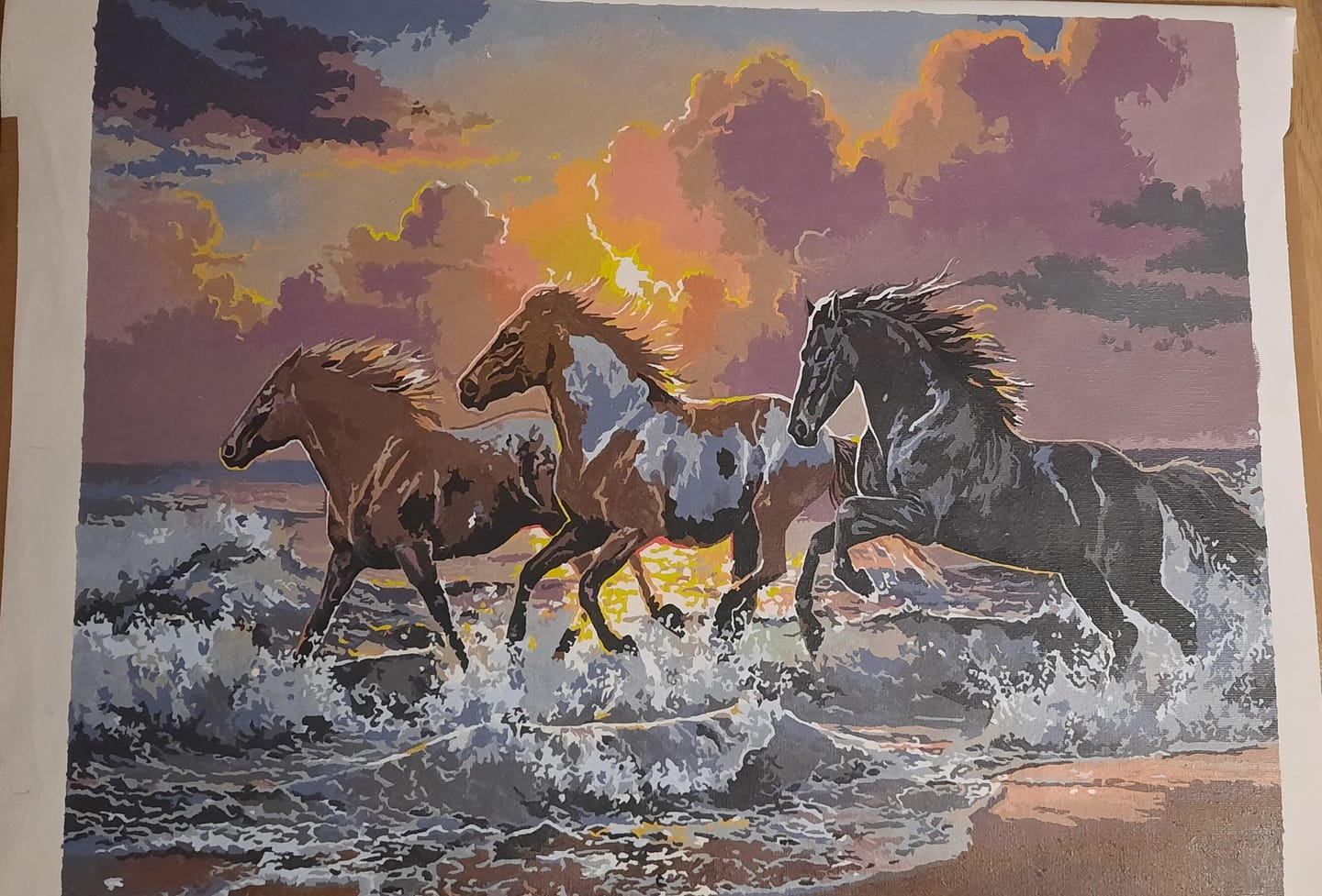 Customer photo review of Trio de Chevaux